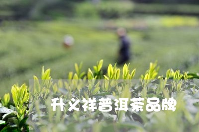 升义祥普洱茶品牌/2023031747269