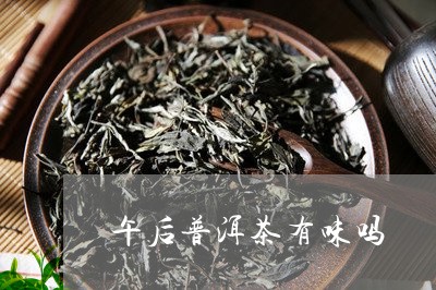 午后普洱茶有味吗/2023041126492