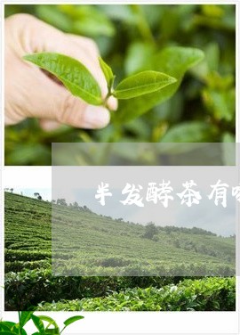 半发酵茶有哪些好处/2023041584268