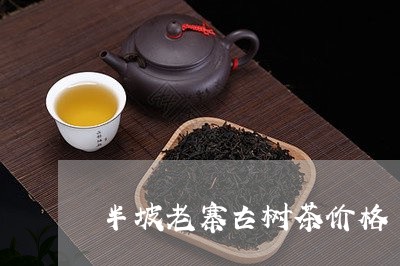 半坡老寨古树茶价格/2023032137379