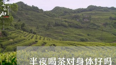 半夜喝茶对身体好吗/2023041614048