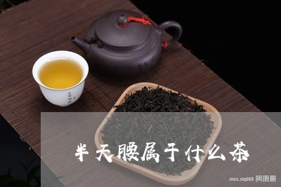 半天腰属于什么茶/2023032423606