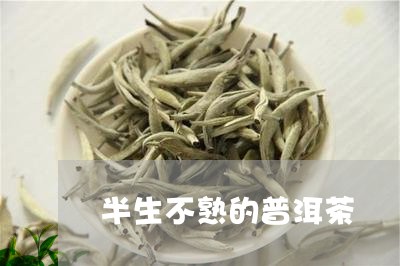 半生不熟的普洱茶/2023040125037