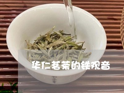 华仁茗茶的铁观音/2023031853028