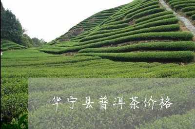 华宁县普洱茶价格/2023041317516