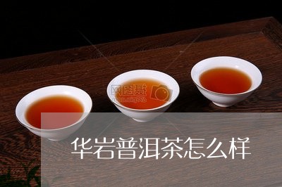 华岩普洱茶怎么样/2023033142581