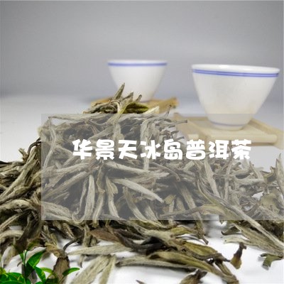 华景天冰岛普洱茶/2023031708379