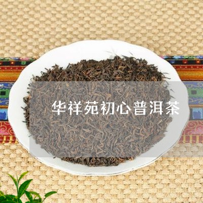 华祥苑初心普洱茶/2023031615370