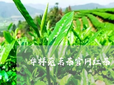 华祥苑茗茶官网红茶/2023041469926