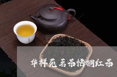 华祥苑茗茶悟桐红茶/2023041424827