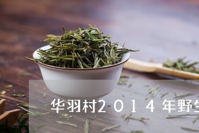 华羽村2014年野生白茶/2023033107351