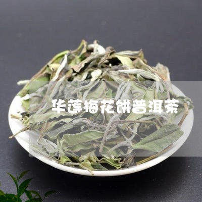 华莲梅花饼普洱茶/2023040121859