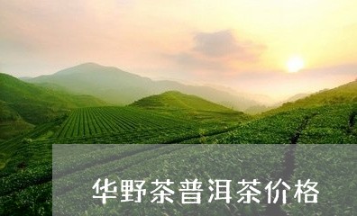 华野茶普洱茶价格/2023041154949