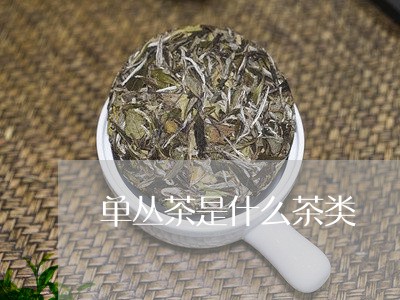 单丛茶是什么茶类/2023031891968