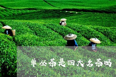 单丛茶是四大名茶吗/2023032177273