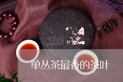 单丛茶最香的茶叶/2023032695037