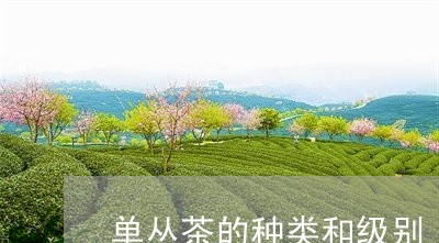 单丛茶的种类和级别/2023032110381