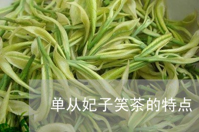 单从妃子笑茶的特点/2023032184139