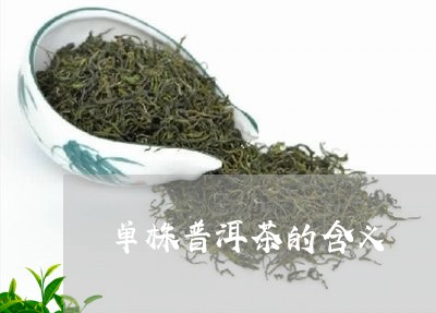 单株普洱茶的含义/2023040954050