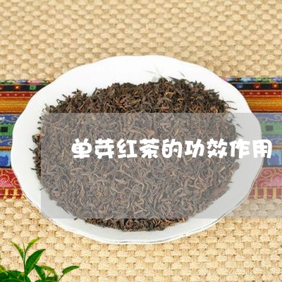 单芽红茶的功效作用/2023032108692