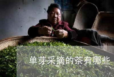 单芽采摘的茶有哪些/2023032015250