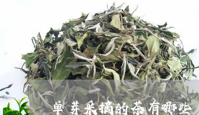 单芽采摘的茶有哪些/2023041573705