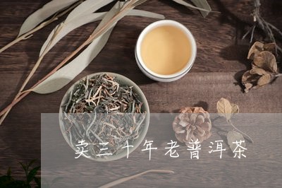 卖三十年老普洱茶/2023033026169