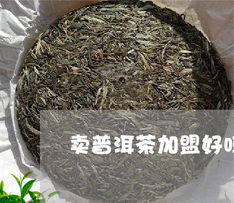 卖普洱茶加盟好吗/2023033020703