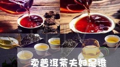 卖普洱茶夫妇是谁/2023041373814