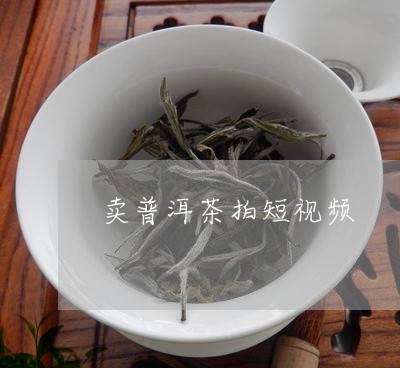 卖普洱茶拍短视频/2023040128272