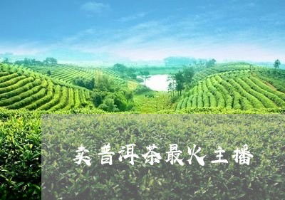 卖普洱茶最火主播/2023033028169