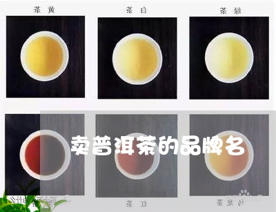 卖普洱茶的品牌名/2023031883827