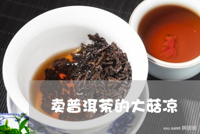 卖普洱茶的大菇凉/2023033150491