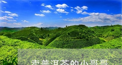 卖普洱茶的小哥哥/2023033155251