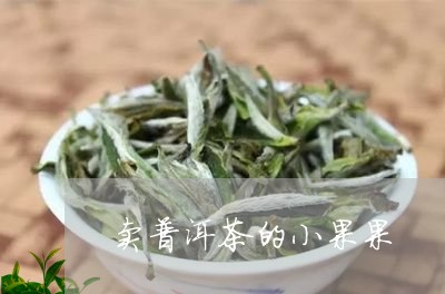 卖普洱茶的小果果/2023033160734