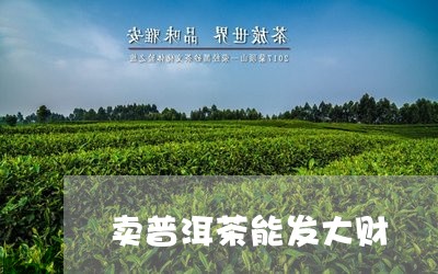 卖普洱茶能发大财/2023031861803