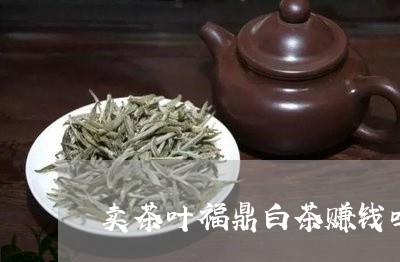 卖茶叶福鼎白茶赚钱吗/2023040204846