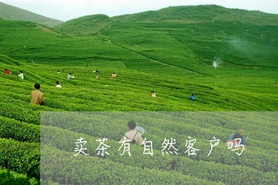 卖茶有自然客户吗/2023032218591