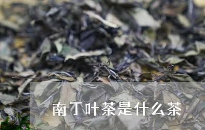 南丁叶茶是什么茶/2023032477141