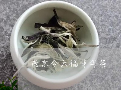 南京今大福普洱茶/2023031636279