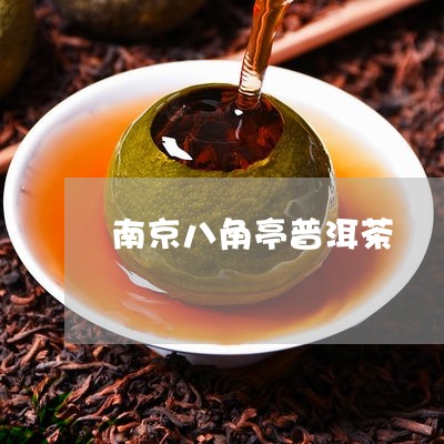 南京八角亭普洱茶/2023033017039