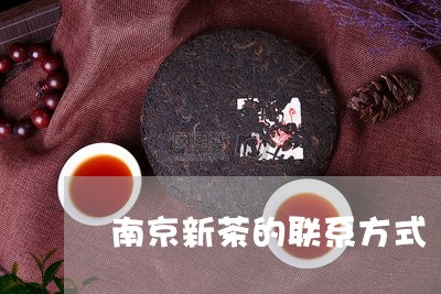 南京新茶的联系方式/2023032171593