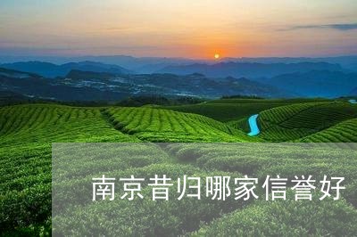 南京昔归哪家信誉好/2023041541413