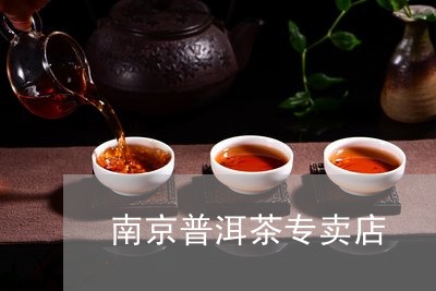 南京普洱茶专卖店/2023031658582