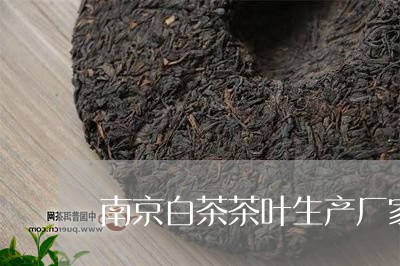 南京白茶茶叶生产厂家电话/2023040296250