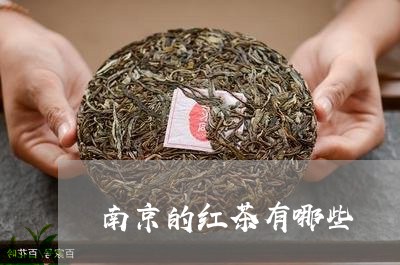 南京的红茶有哪些/2023032274050