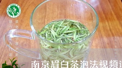 南京眉白茶泡法视频讲解/2023040200614