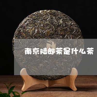 南京陆郎茶是什么茶/2023031927160