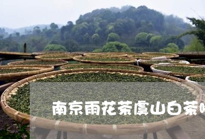 南京雨花茶虞山白茶哪个好/2023040271703