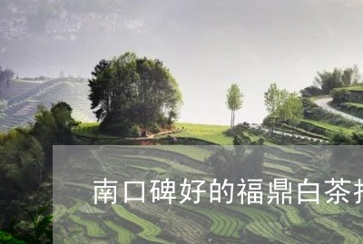 南口碑好的福鼎白茶招商/2023040212815